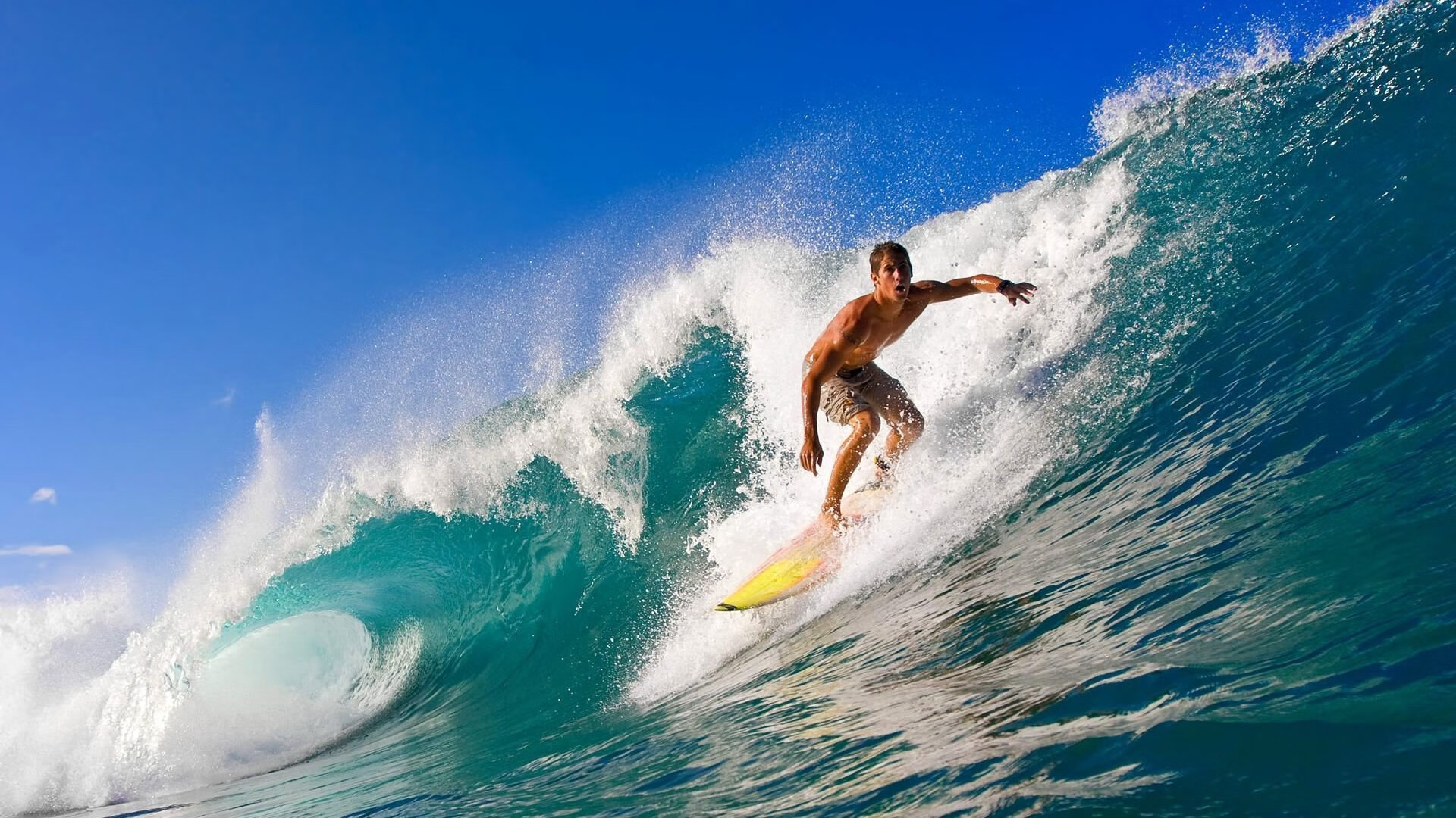 跳水动作连贯性强，稳定输出高分，跳水动作选择规则